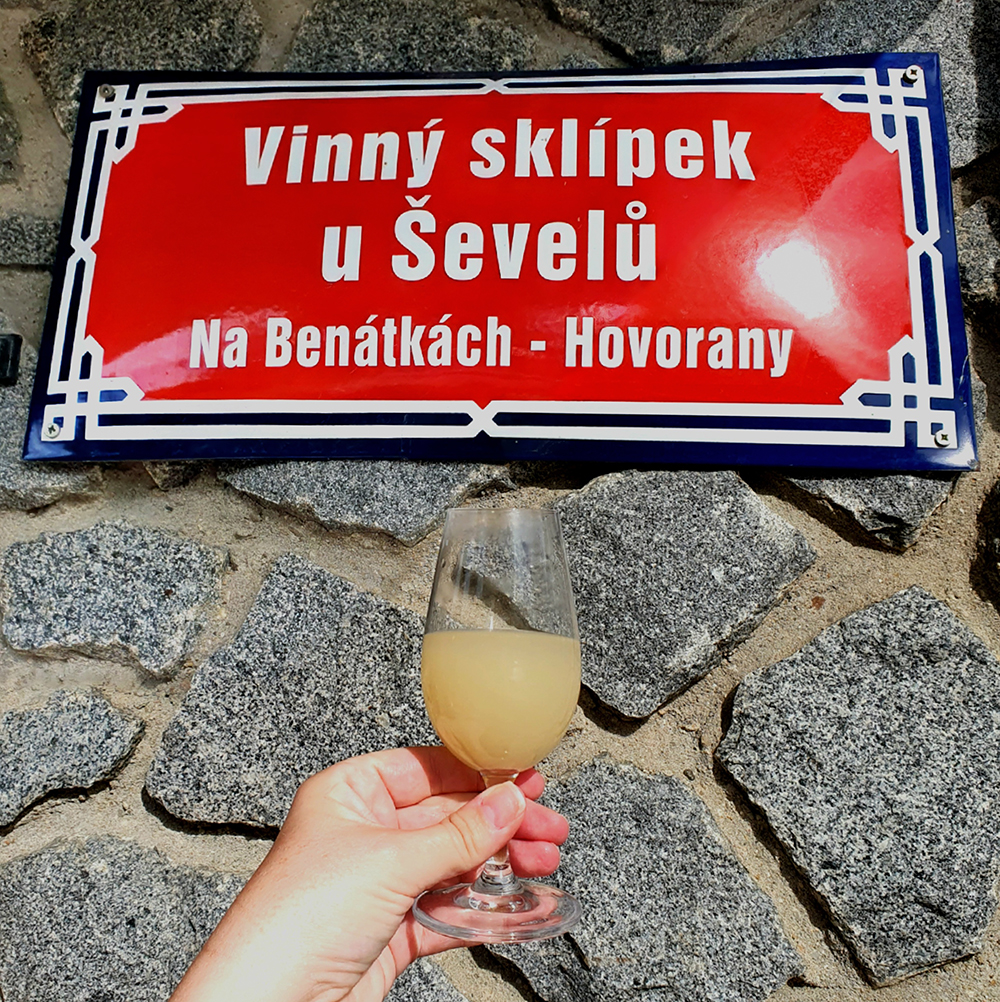 Vinný sklípek U Ševelů na Benátkách v Hovoranech